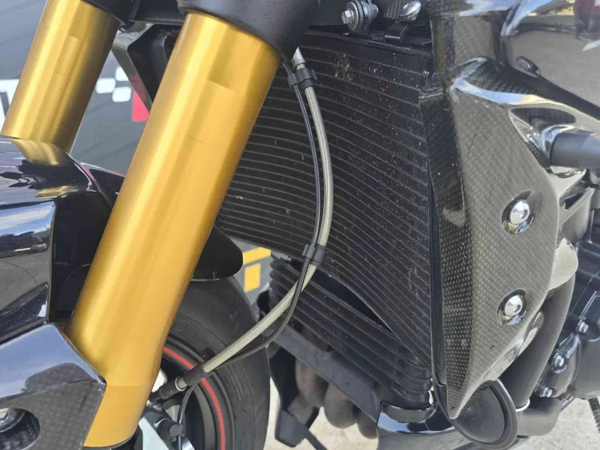 Triumph Speed Triple 1050 R ABS (2011 - 15) (15)