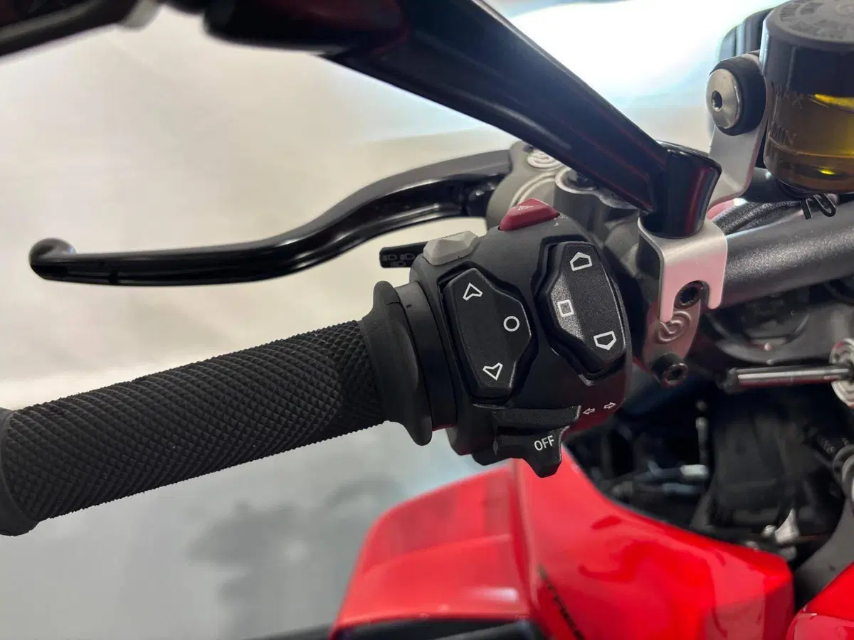 Ducati Streetfighter V4 (2025 - 26) (7)