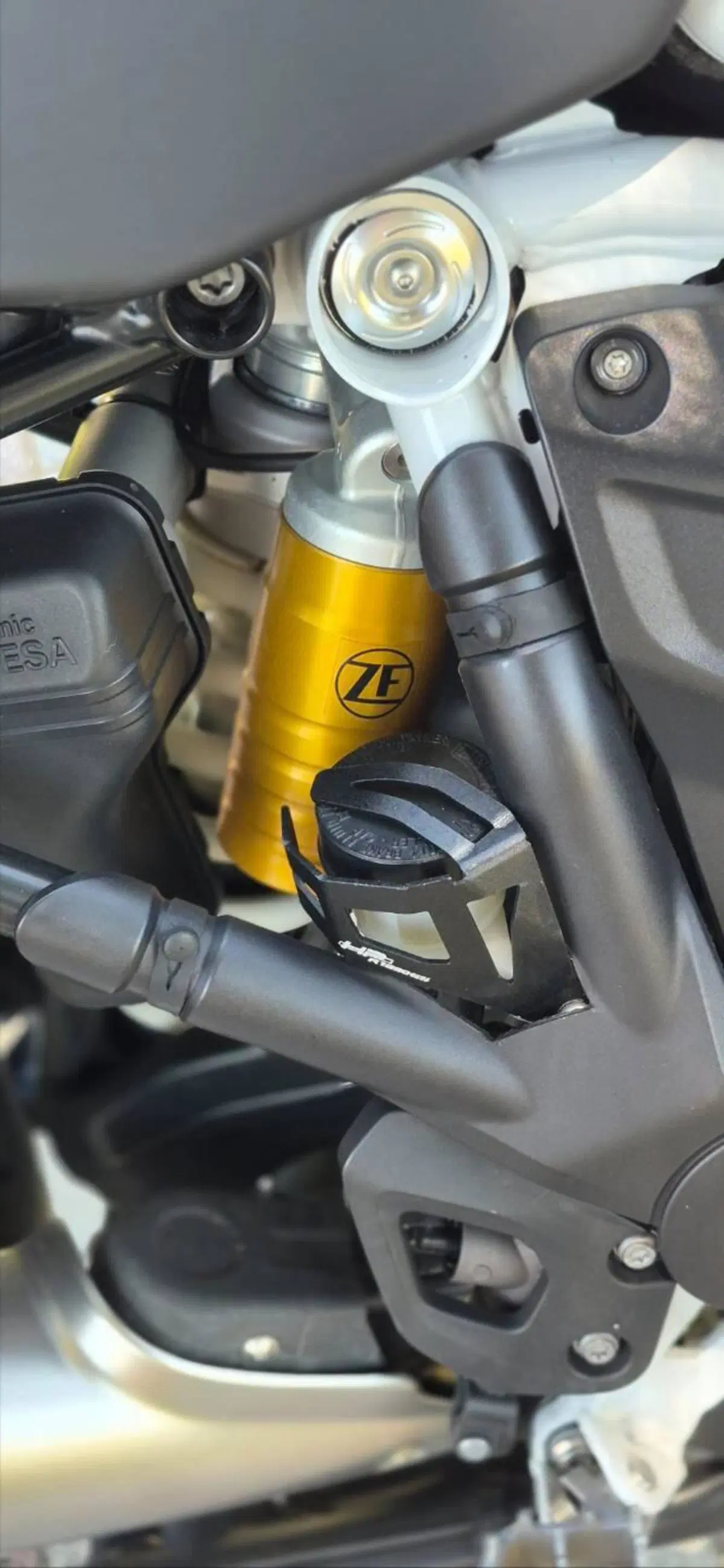 Bmw R 1250 GS Adventure (2019 - 20) (9)