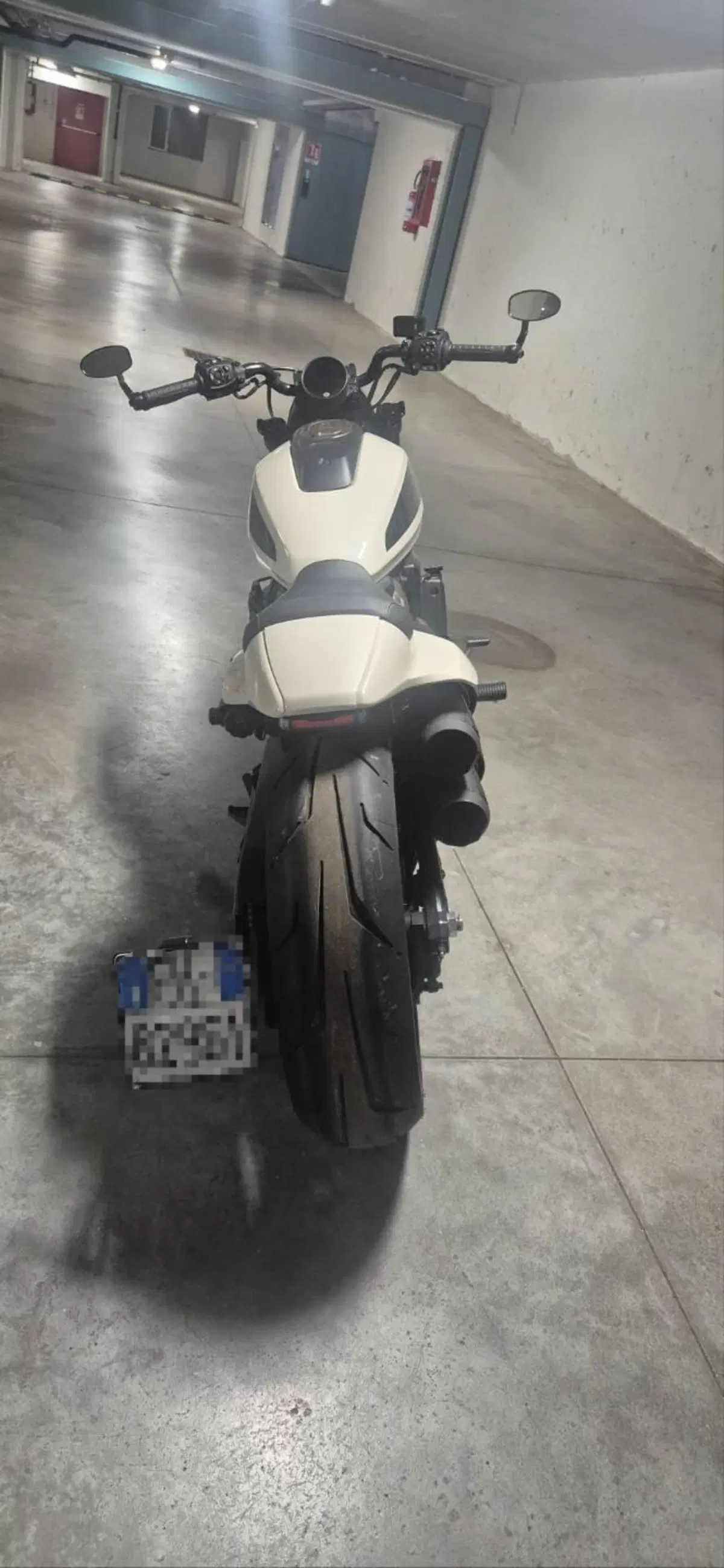 Harley-Davidson Sportster S (2022 - 24) (2)