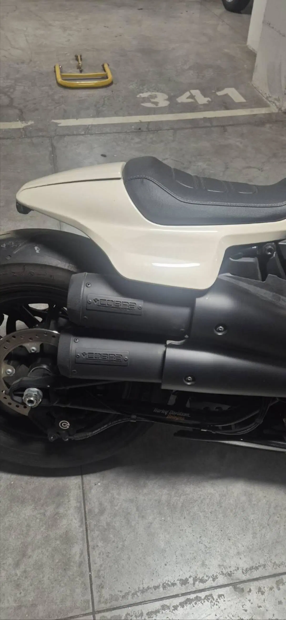 Harley-Davidson Sportster S (2022 - 24) (4)