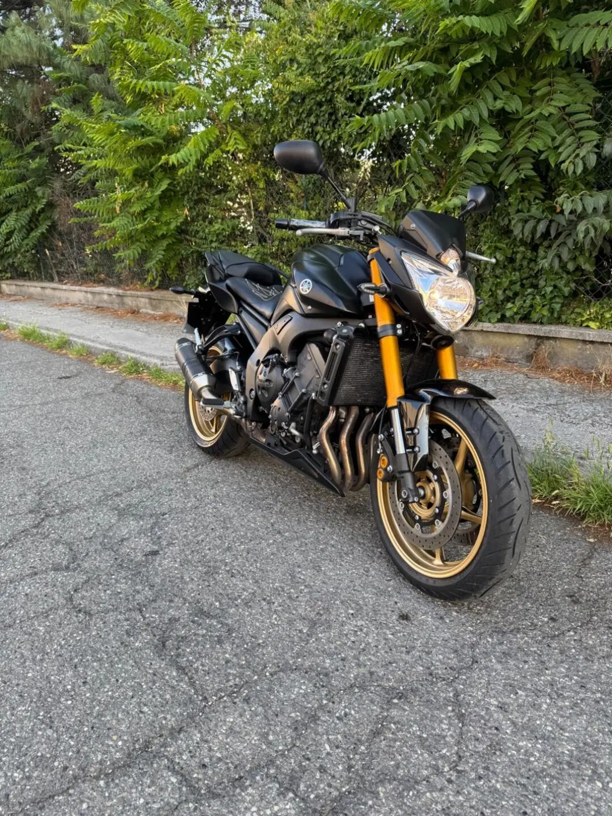 Yamaha FZ8 (2010 - 12)