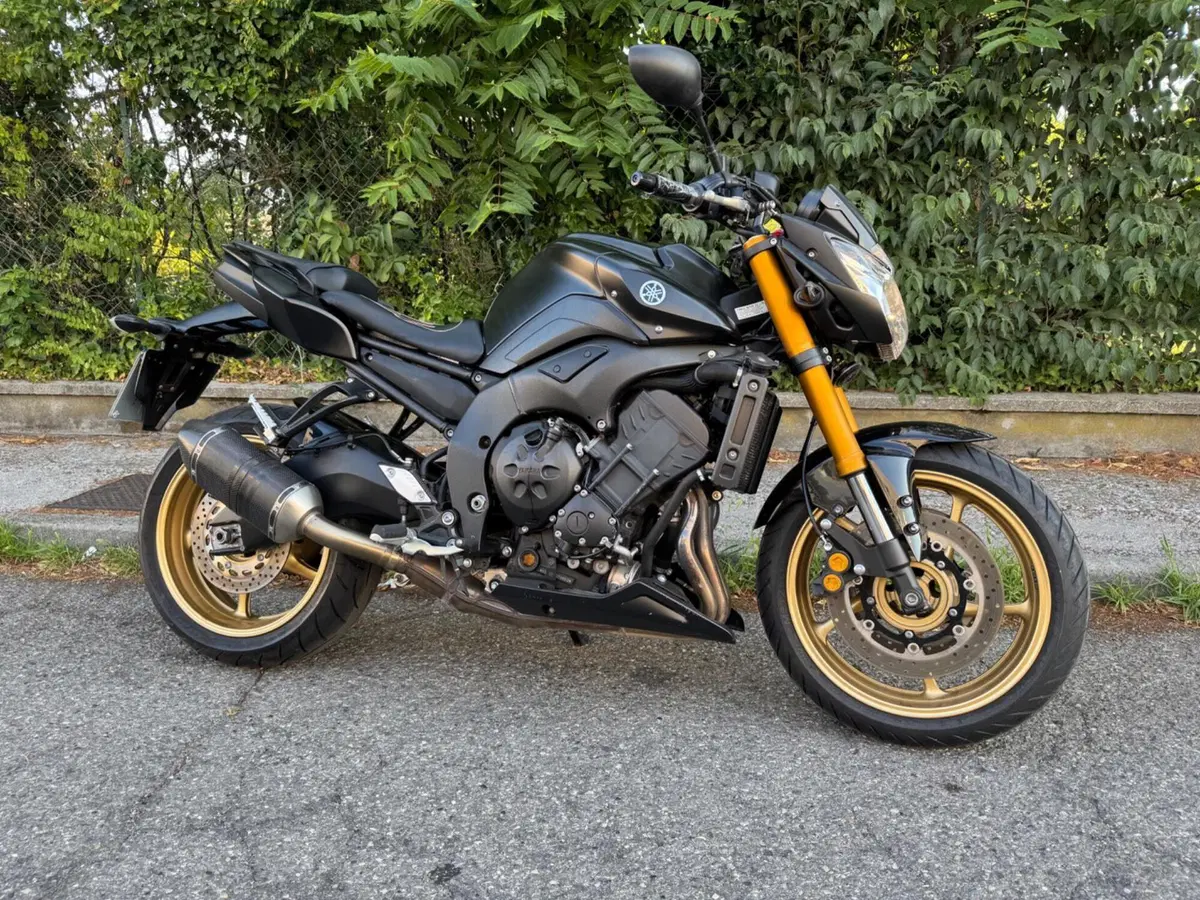 Yamaha FZ8 (2010 - 12) (2)