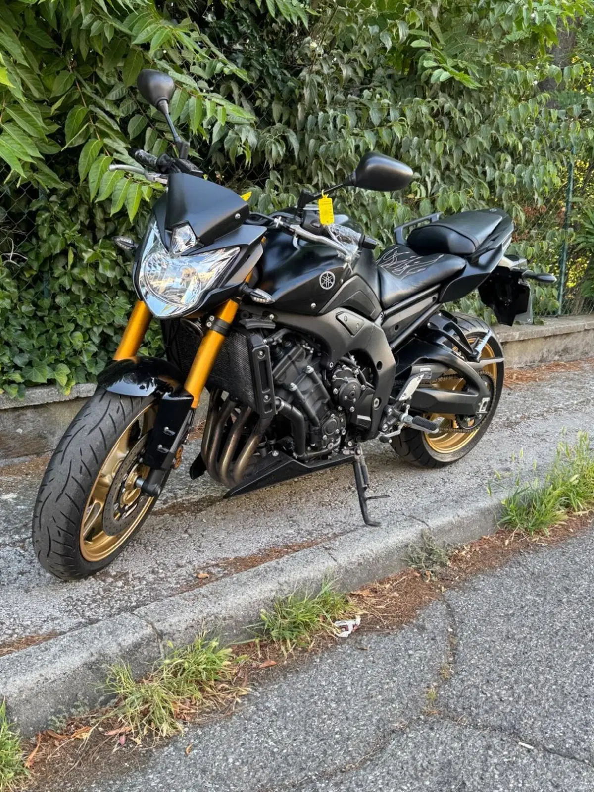 Yamaha FZ8 (2010 - 12) (3)