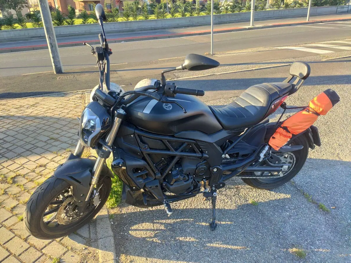 Benelli 502 C (2021 - 25)