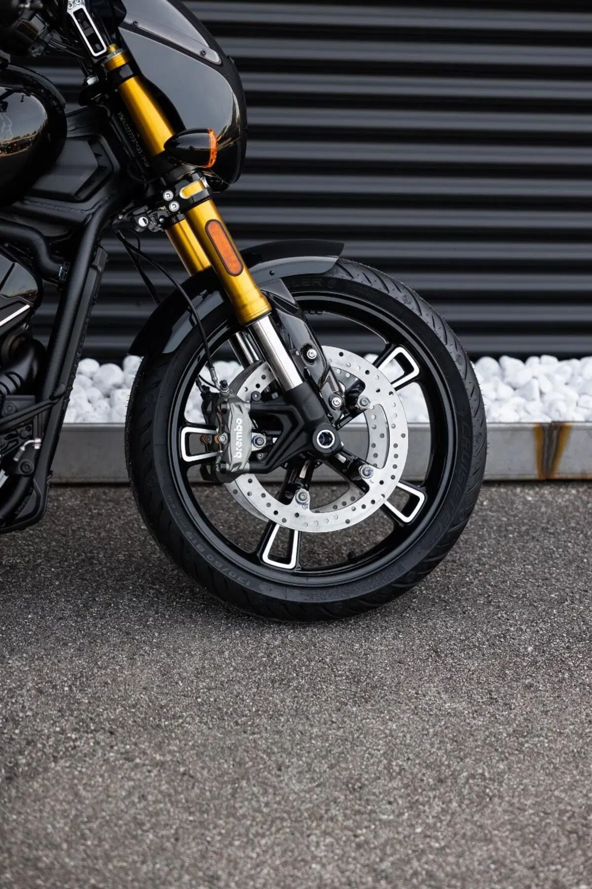Indian Scout 1250 101 (2025 - 26) (17)