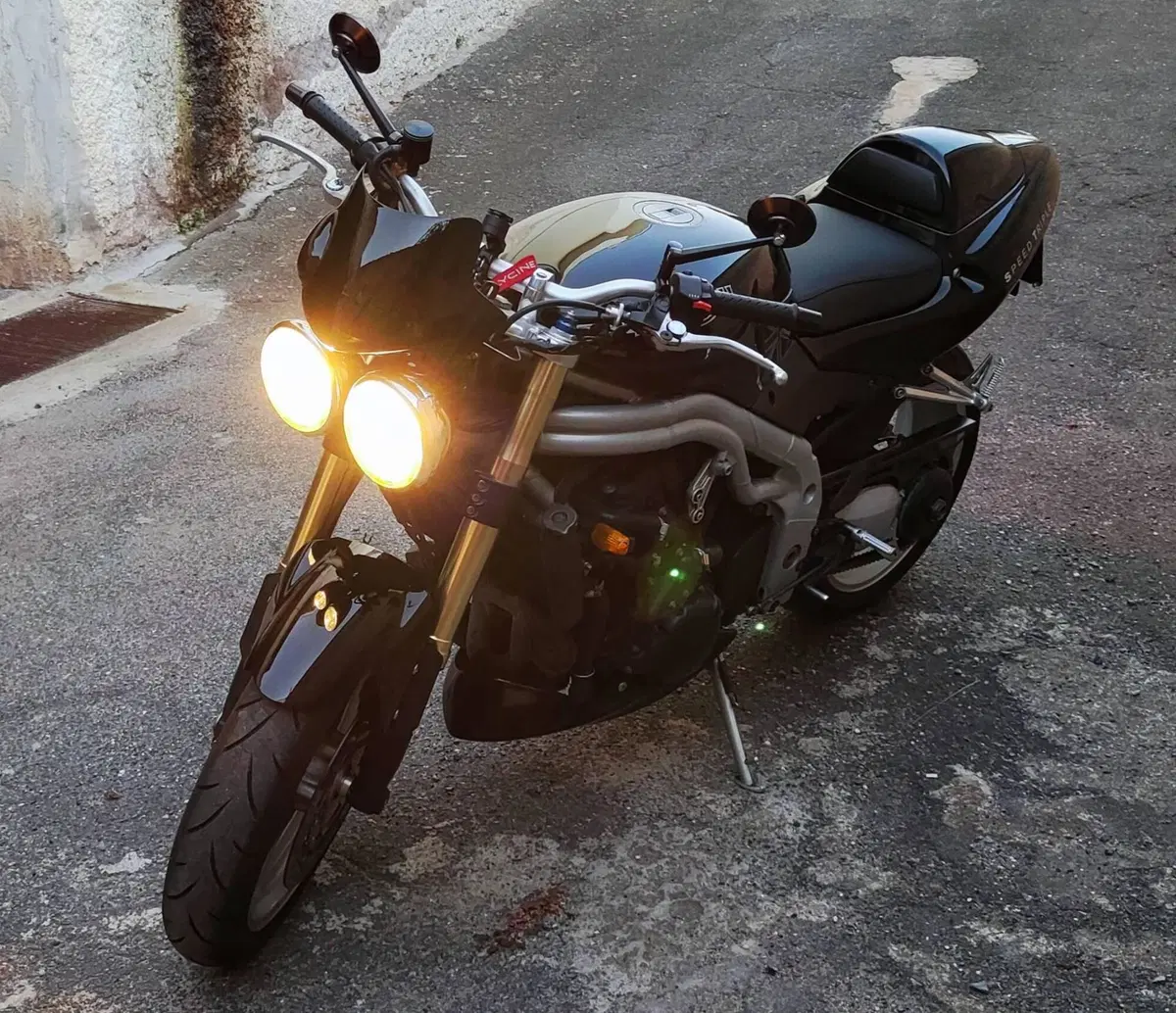 Triumph Speed Triple 955 (2002 - 04) (2)