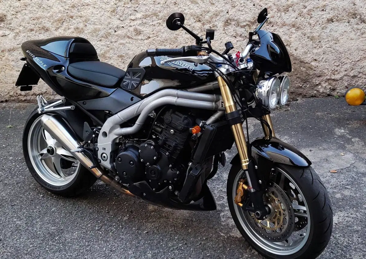 Triumph Speed Triple 955 (2002 - 04) (3)