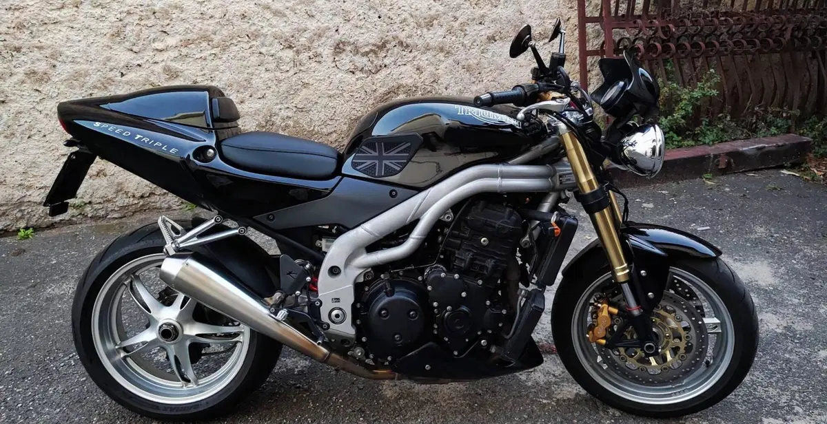 Triumph Speed Triple 955 (2002 - 04) (4)