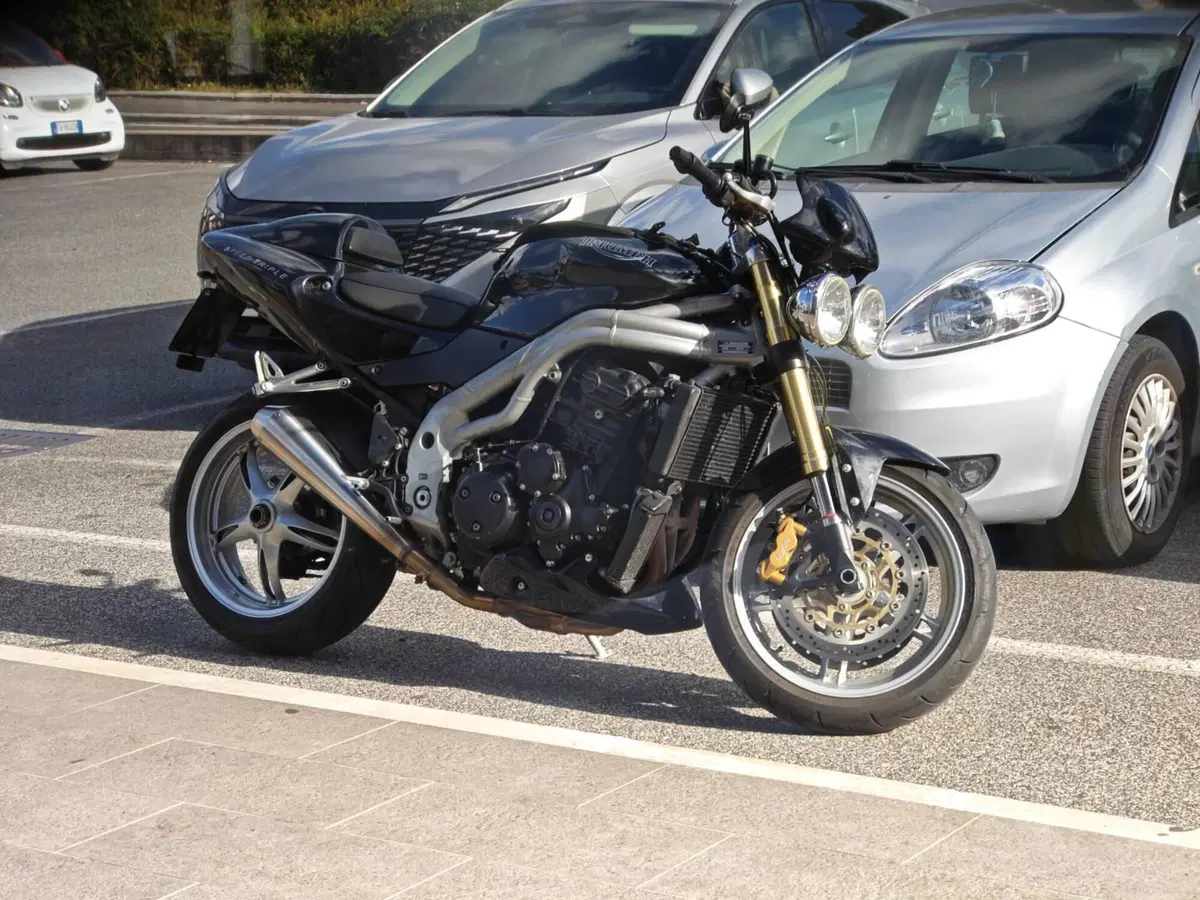 Triumph Speed Triple 955 (2002 - 04) (5)