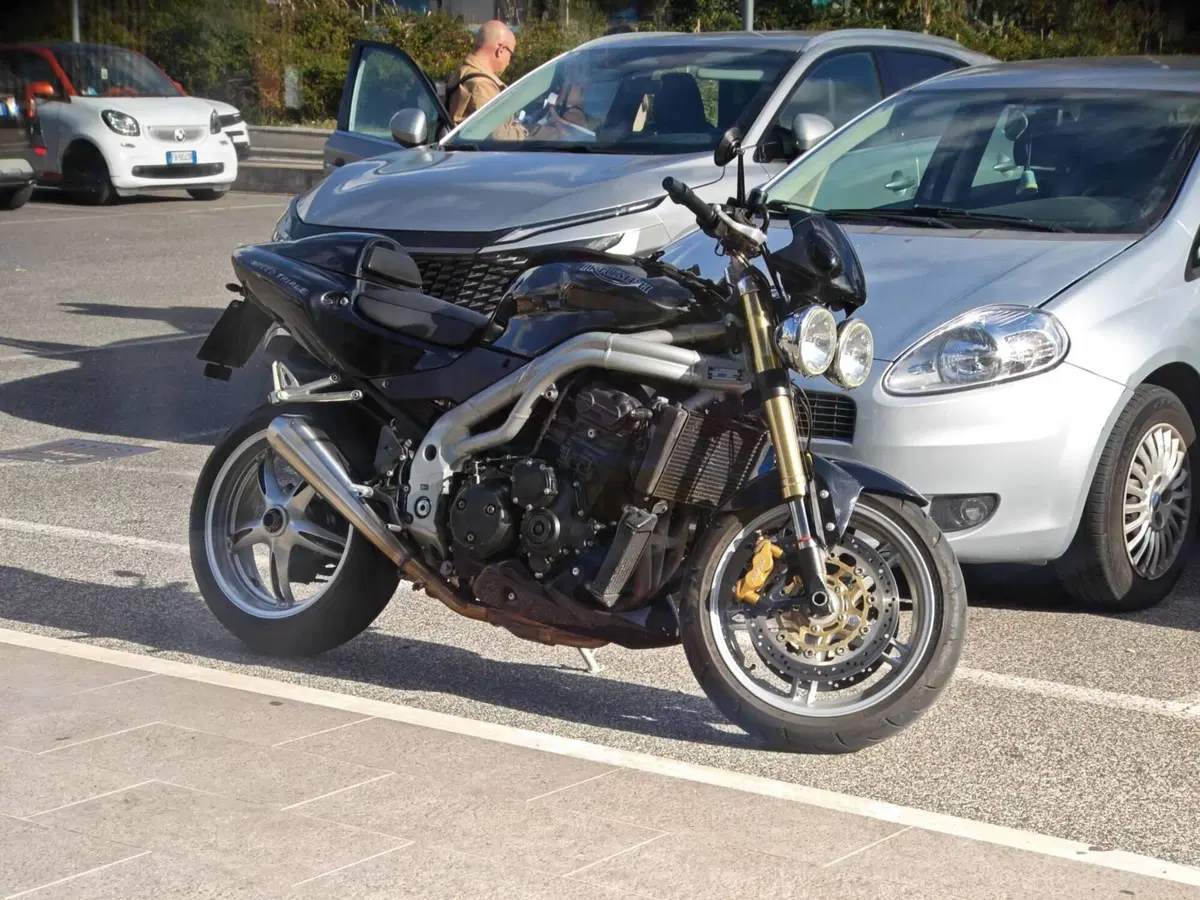 Triumph Speed Triple 955 (2002 - 04) (6)