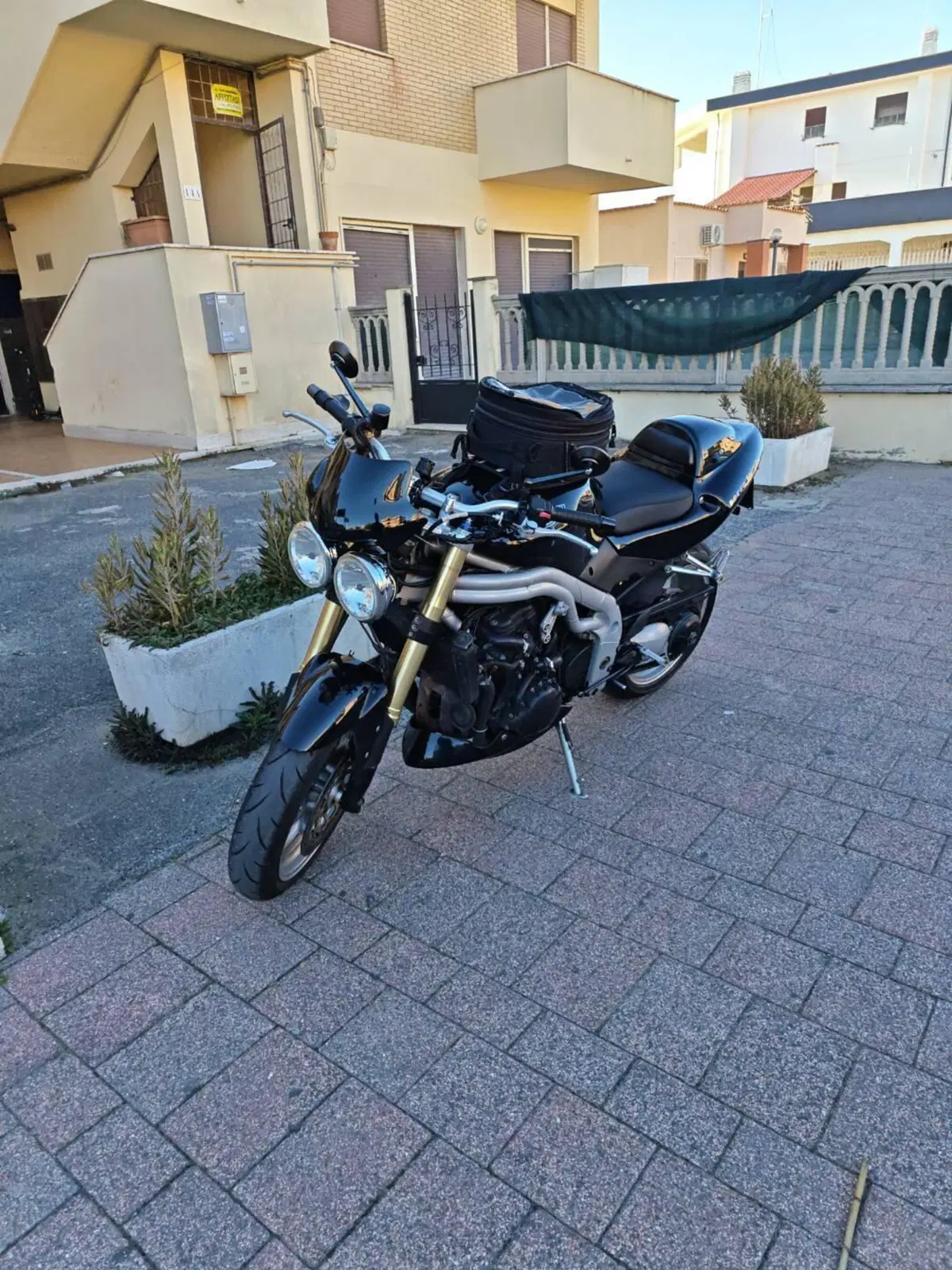 Triumph Speed Triple 955 (2002 - 04) (7)
