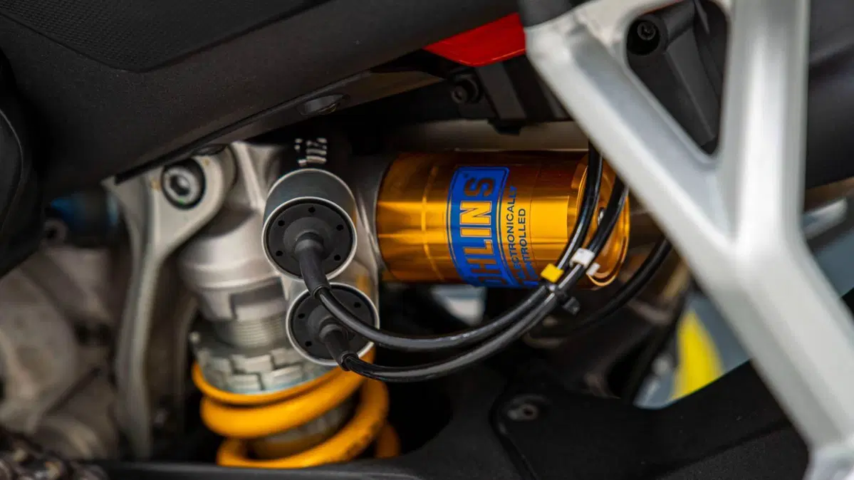 Ducati Panigale V4 S 1100 (2018 - 19) (5)