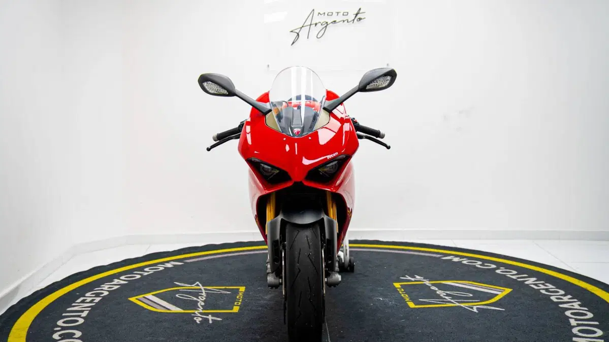 Ducati Panigale V4 S 1100 (2018 - 19) (11)