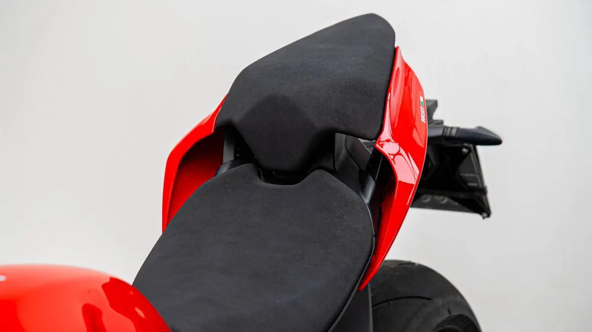 Ducati Panigale V4 S 1100 (2018 - 19) (14)