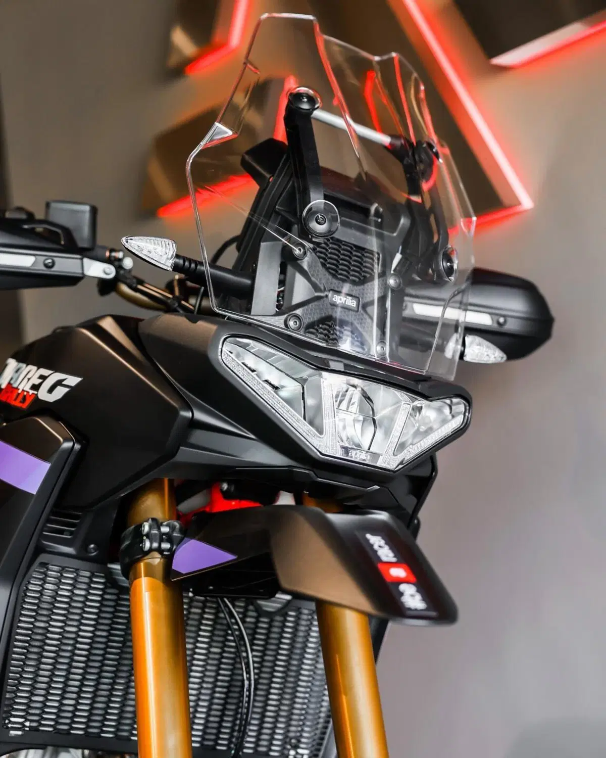 Aprilia Tuareg 660 Rally (2025 - 26) (5)