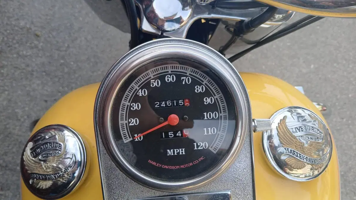 Harley-Davidson 1340 Fat Boy (1990 - 99) - FLSTF (3)