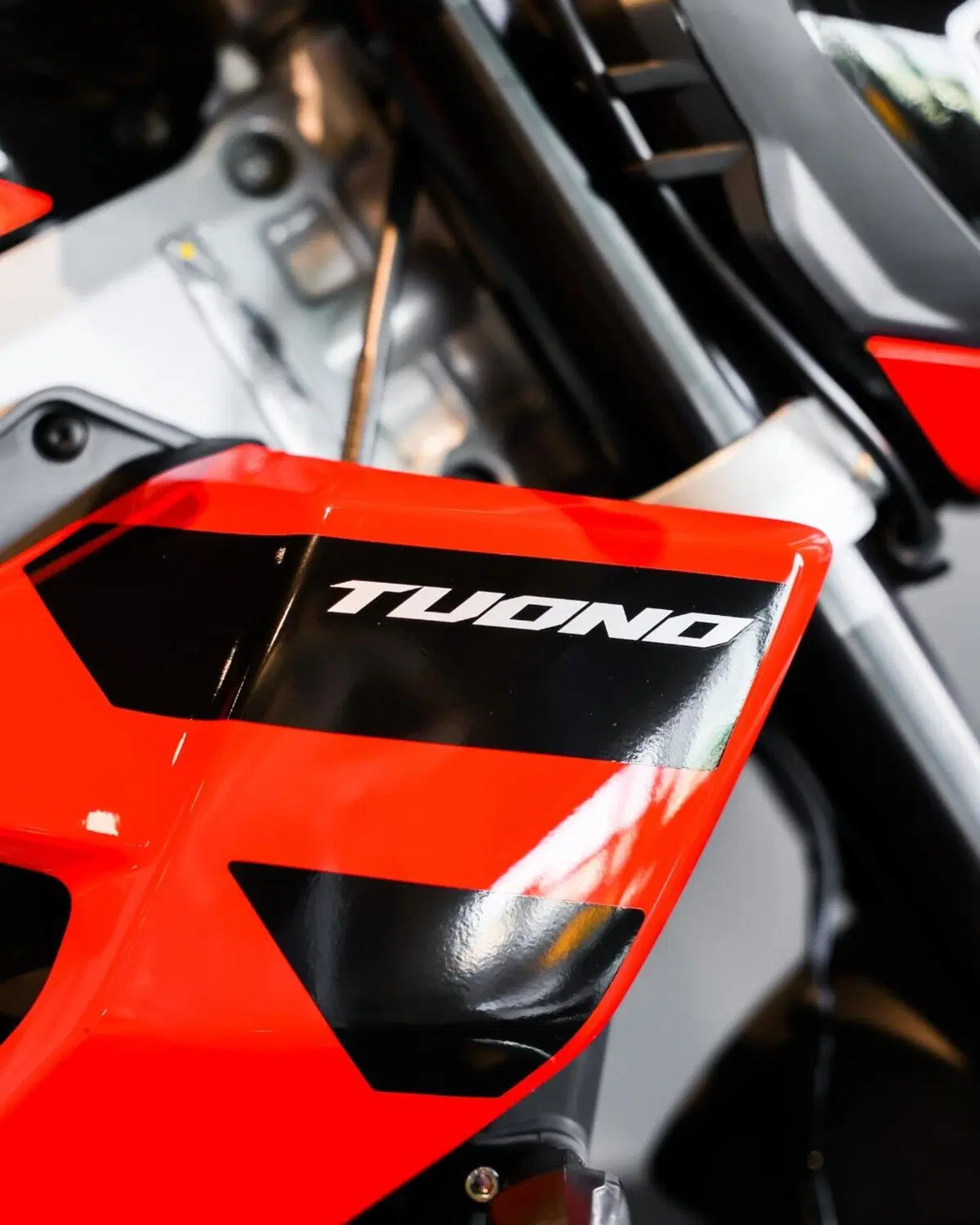 Aprilia Tuono 457 (2025 - 26) (8)