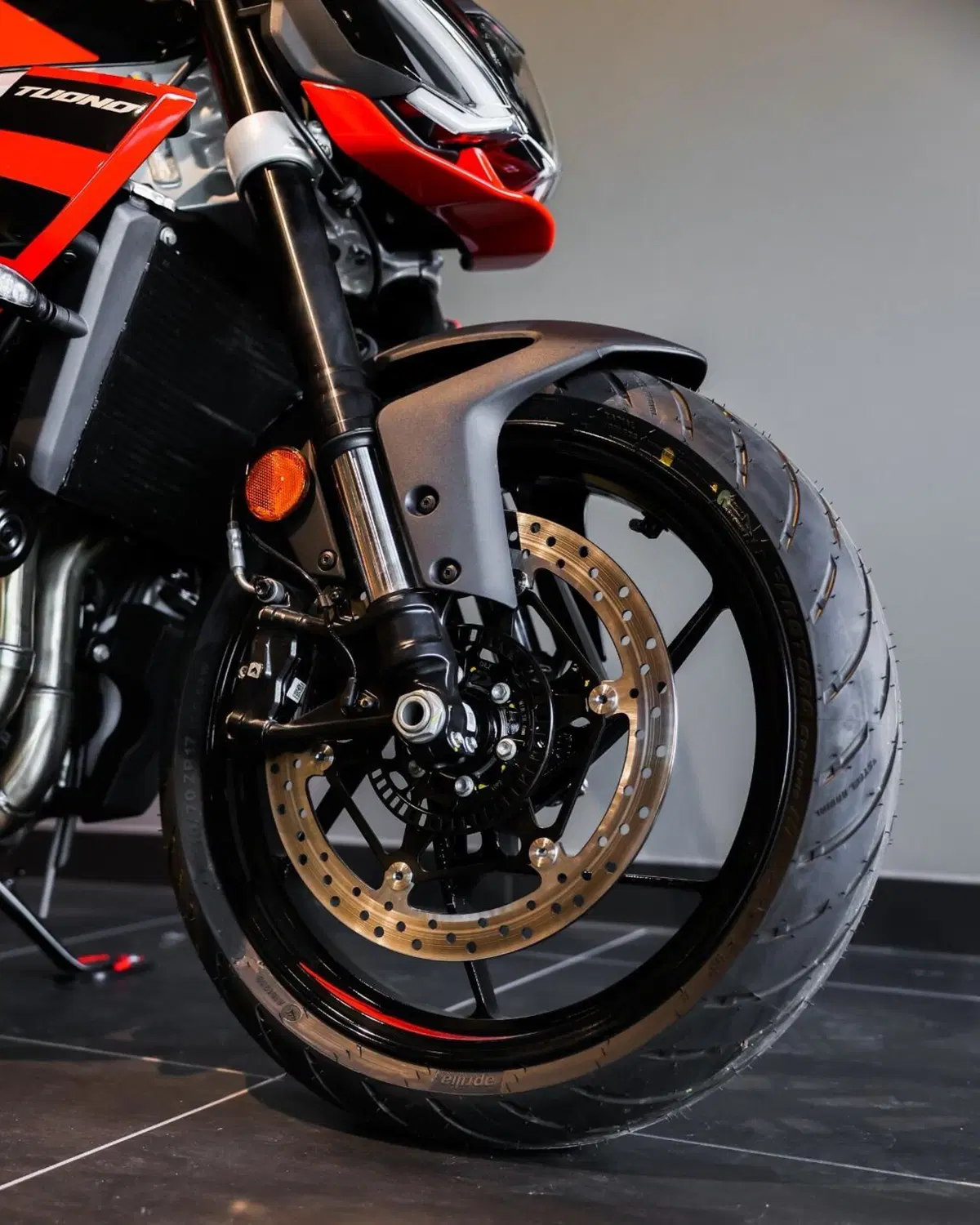 Aprilia Tuono 457 (2025 - 26) (11)