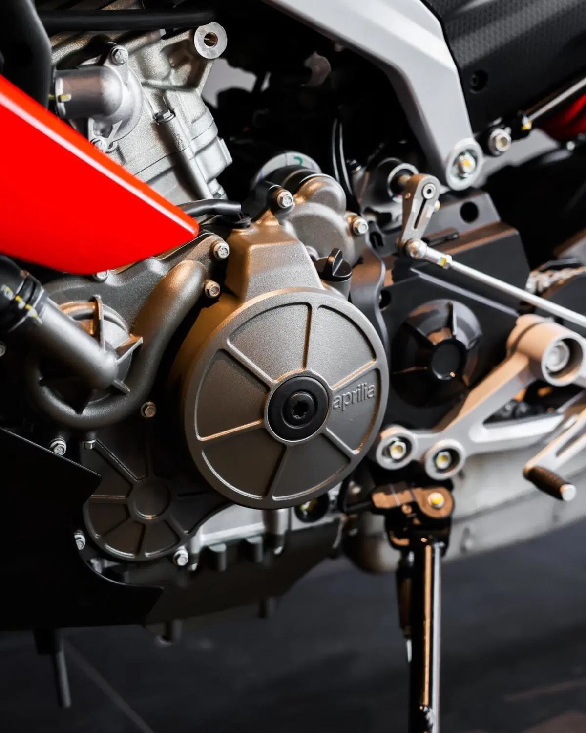 Aprilia Tuono 457 (2025 - 26) (19)