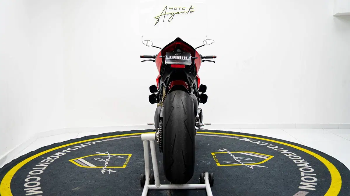 Ducati Streetfighter V4 S (2023 - 24) (6)