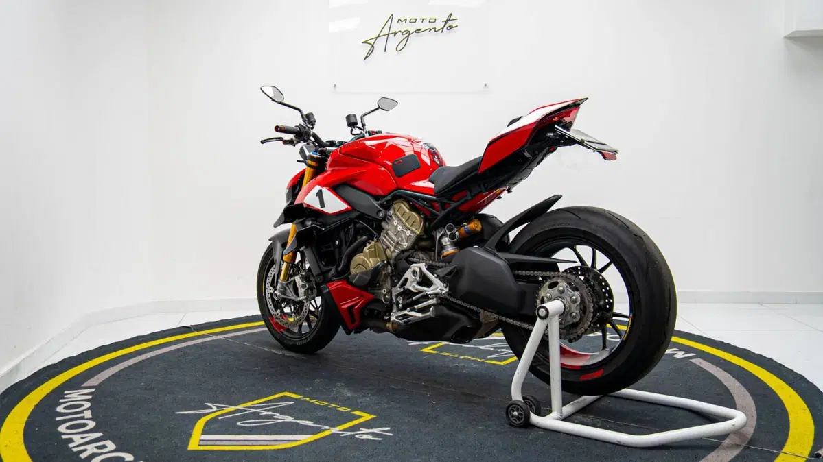 Ducati Streetfighter V4 S (2023 - 24) (7)