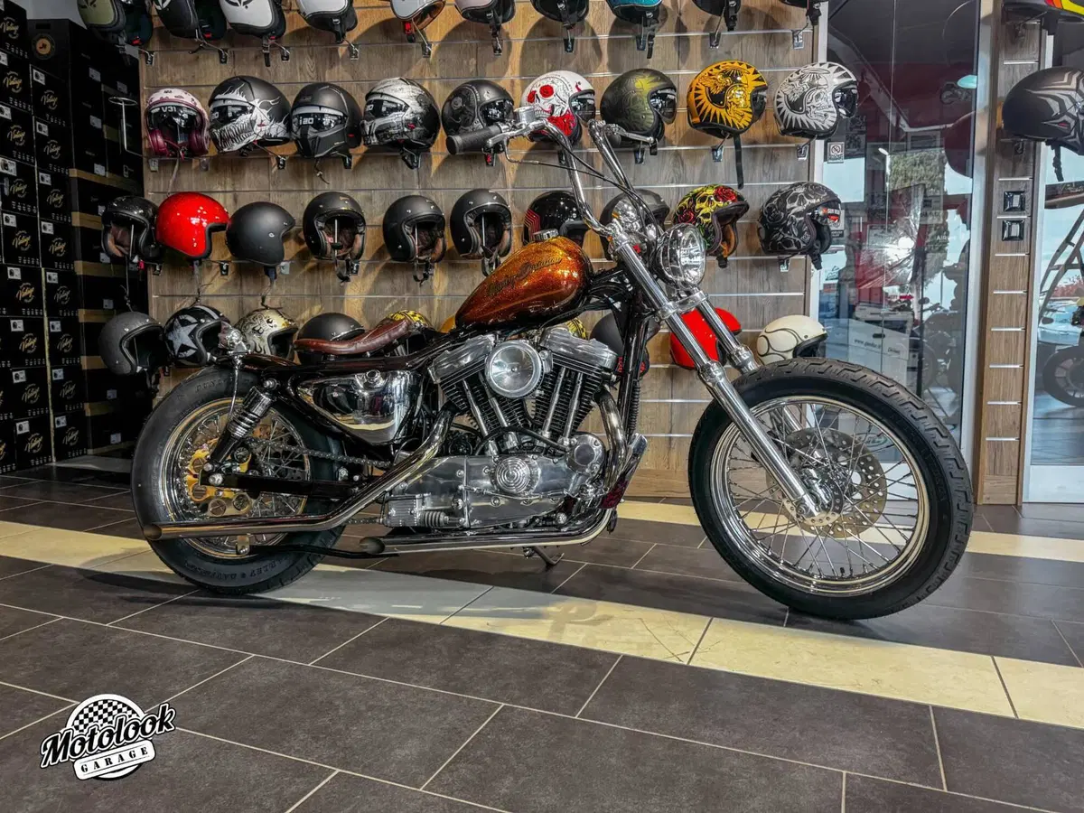 Harley-Davidson 1200 (1988 - 96) - HLX (2)