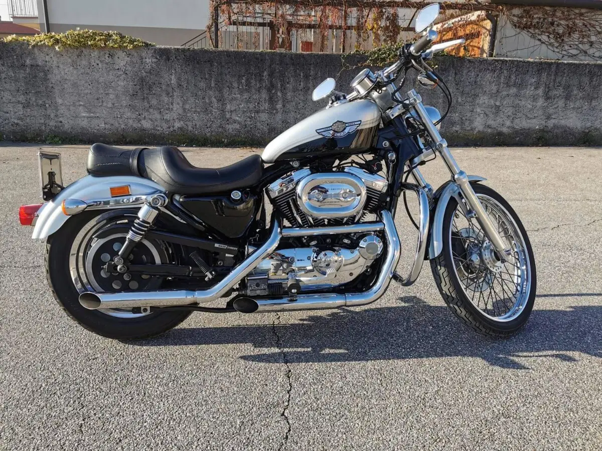 Harley-Davidson 1200 Custom (2001 - 03) - XL 1200C (2)