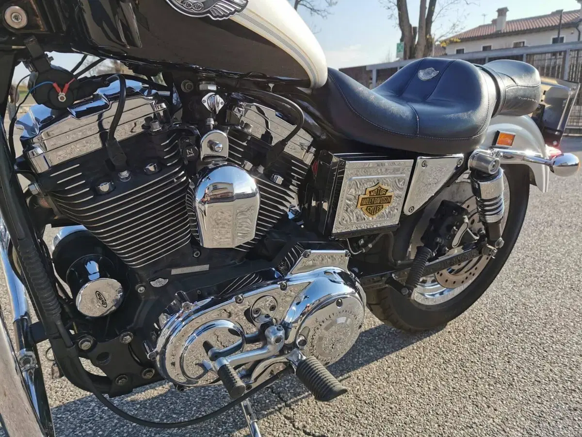 Harley-Davidson 1200 Custom (2001 - 03) - XL 1200C (7)