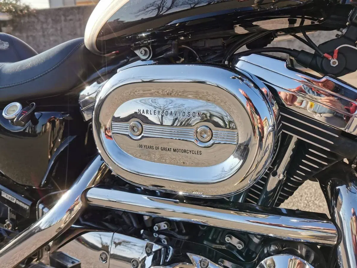 Harley-Davidson 1200 Custom (2001 - 03) - XL 1200C (10)