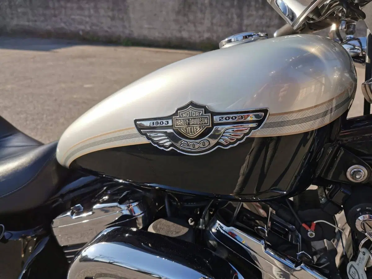 Harley-Davidson 1200 Custom (2001 - 03) - XL 1200C (11)