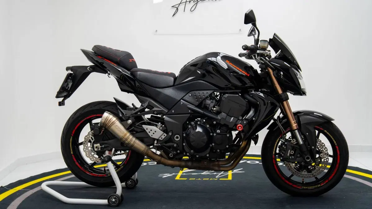 Kawasaki Z 750 R (2011 - 14) (3)
