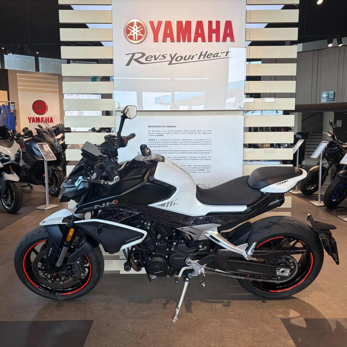 CFMOTO 800NK Advanced (2023 - 26) (8)