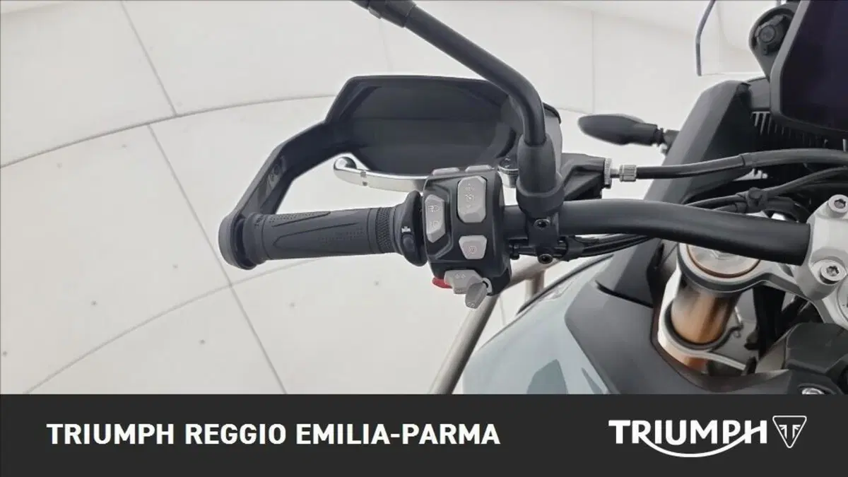 Triumph Tiger 900 Desert Special Edition (2026) (10)