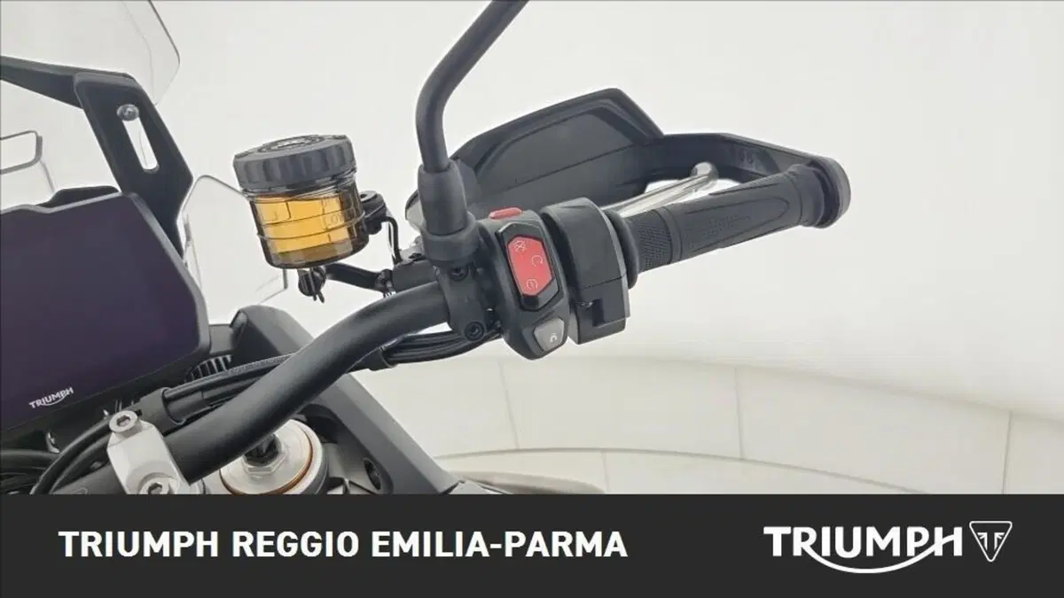 Triumph Tiger 900 Desert Special Edition (2026) (9)