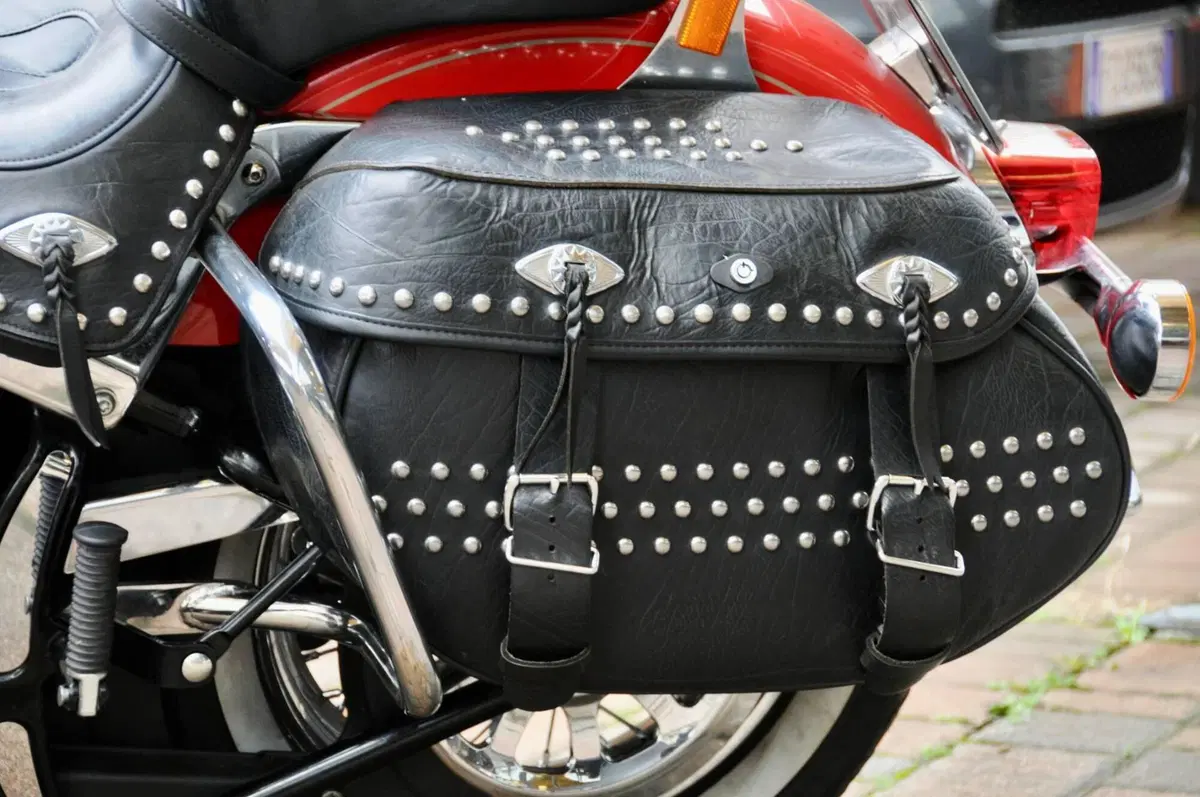 Harley-Davidson 1584 Heritage Classic (2008 - 10) - FLSTC (6)