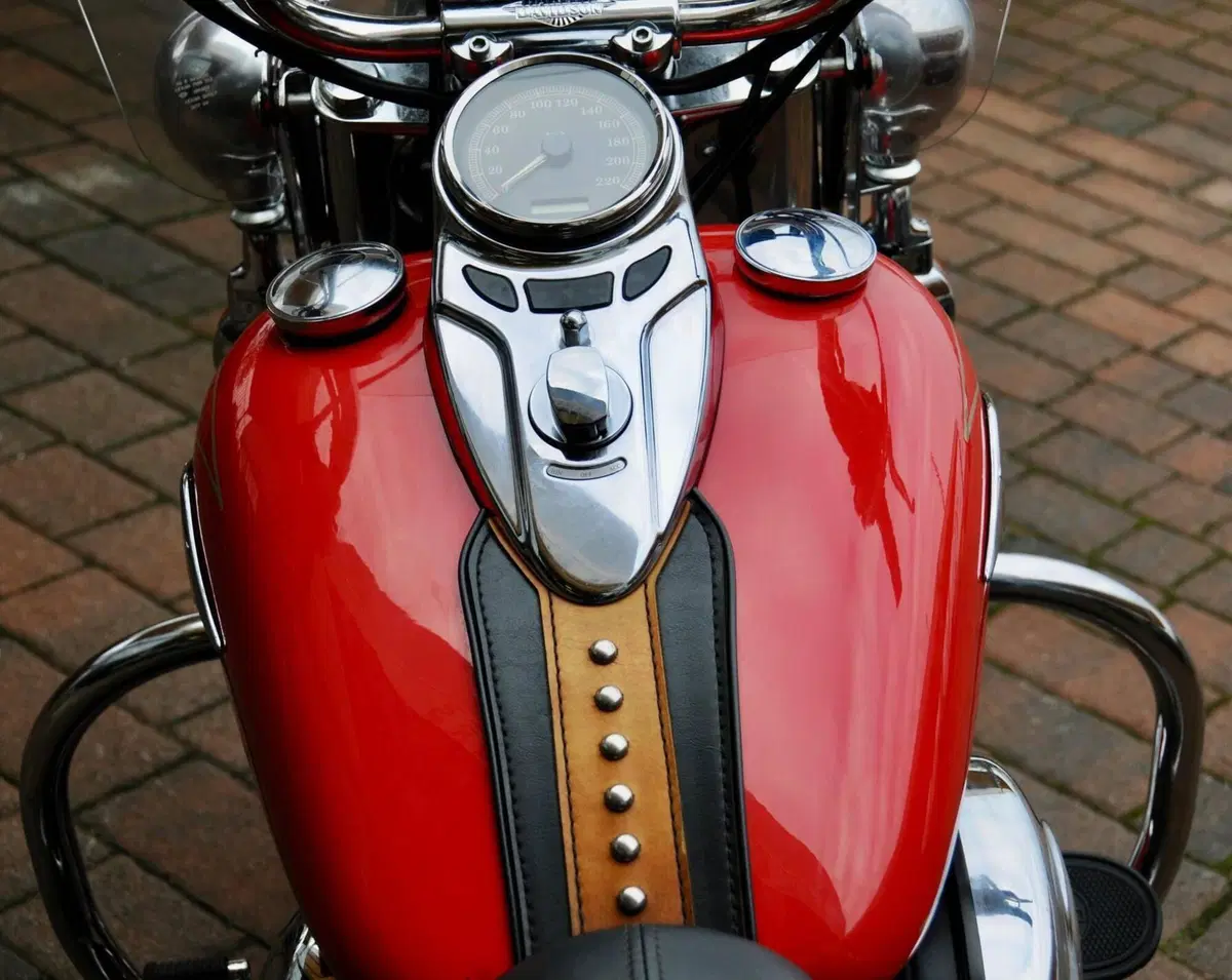 Harley-Davidson 1584 Heritage Classic (2008 - 10) - FLSTC (9)