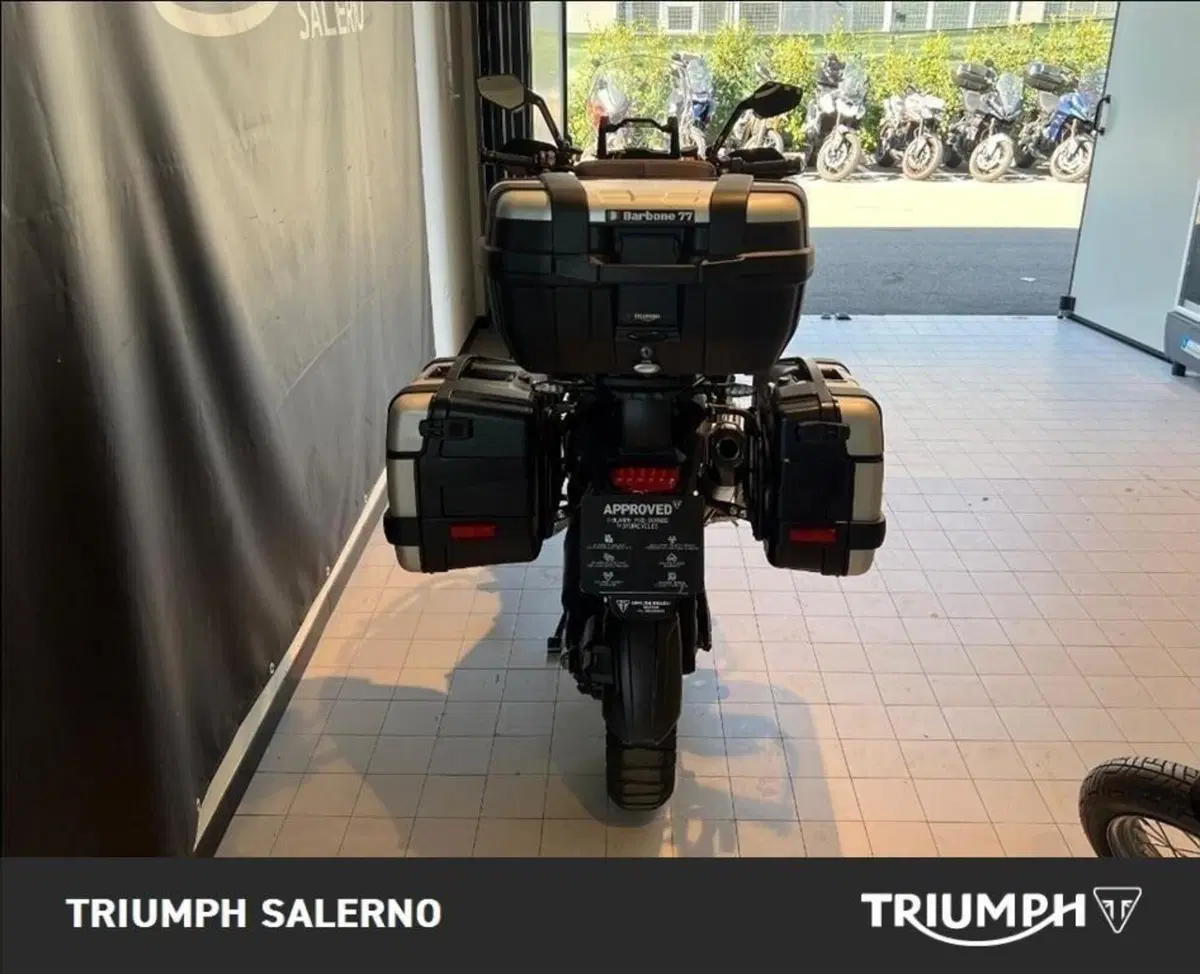 Triumph Tiger 1200 Rally Explorer (2022 - 23) (6)