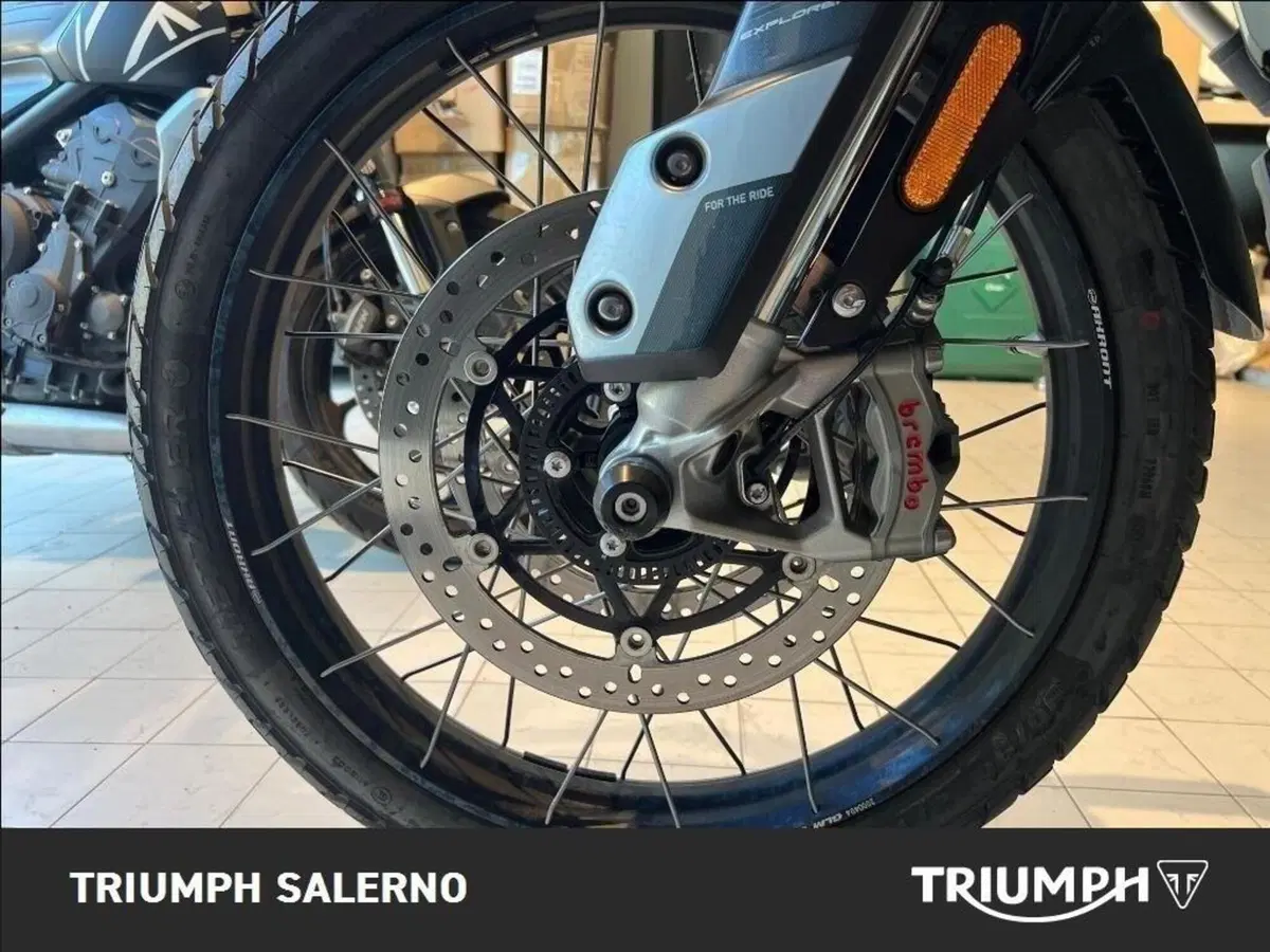 Triumph Tiger 1200 Rally Explorer (2022 - 23) (13)