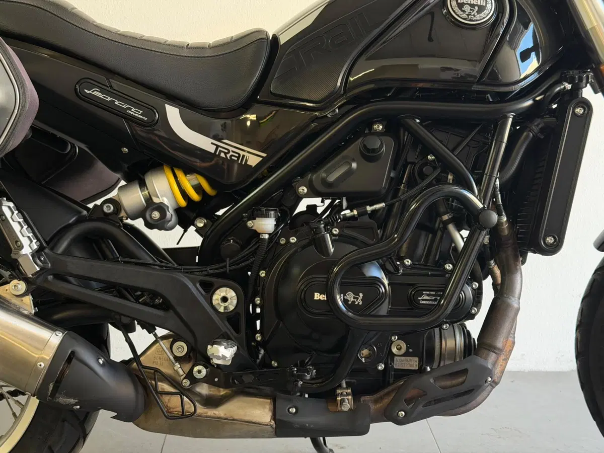 Benelli Leoncino 500 Trail (2021 - 26) (3)