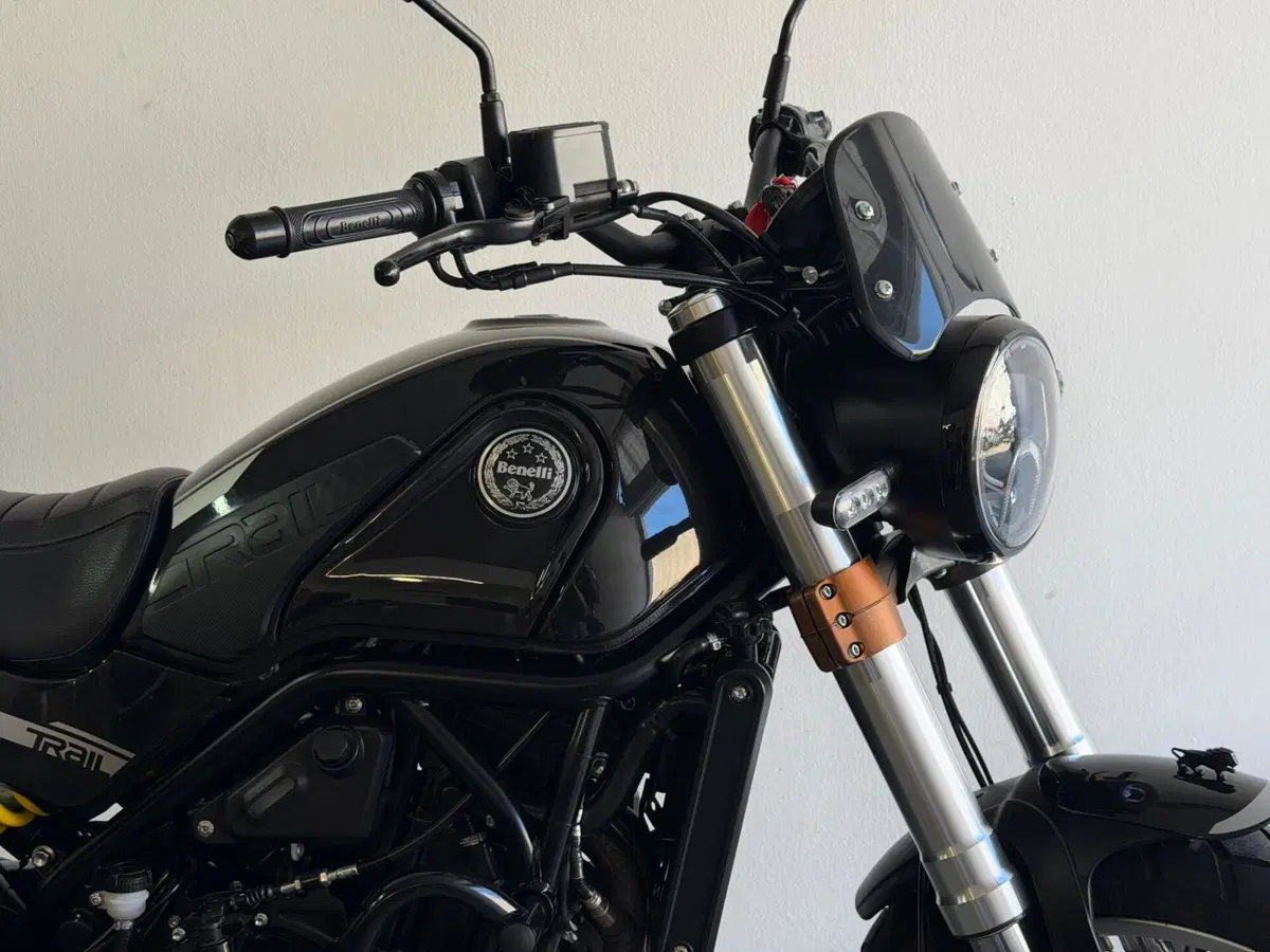 Benelli Leoncino 500 Trail (2021 - 26) (4)