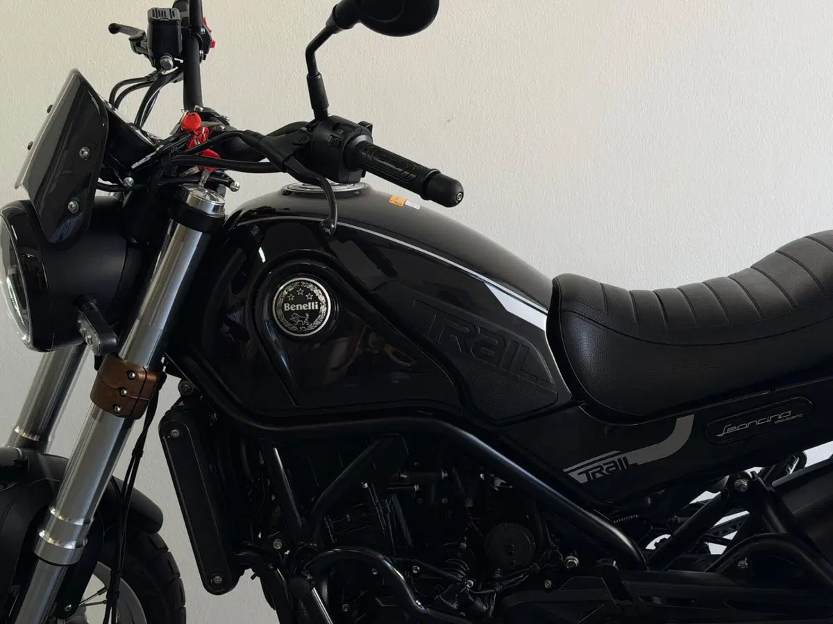 Benelli Leoncino 500 Trail (2021 - 26) (9)