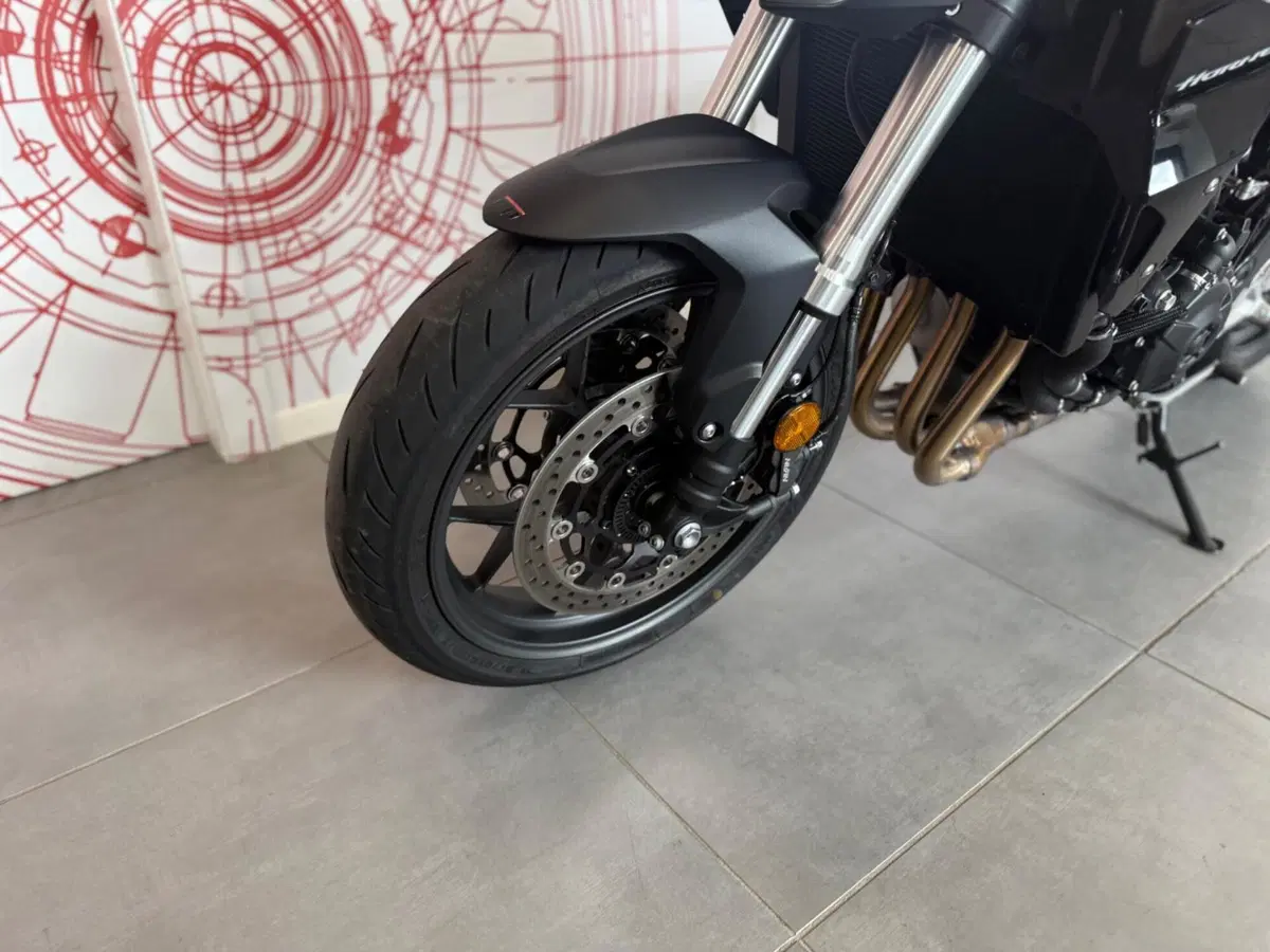 Honda CB 1000 Hornet (2025 - 26) (13)