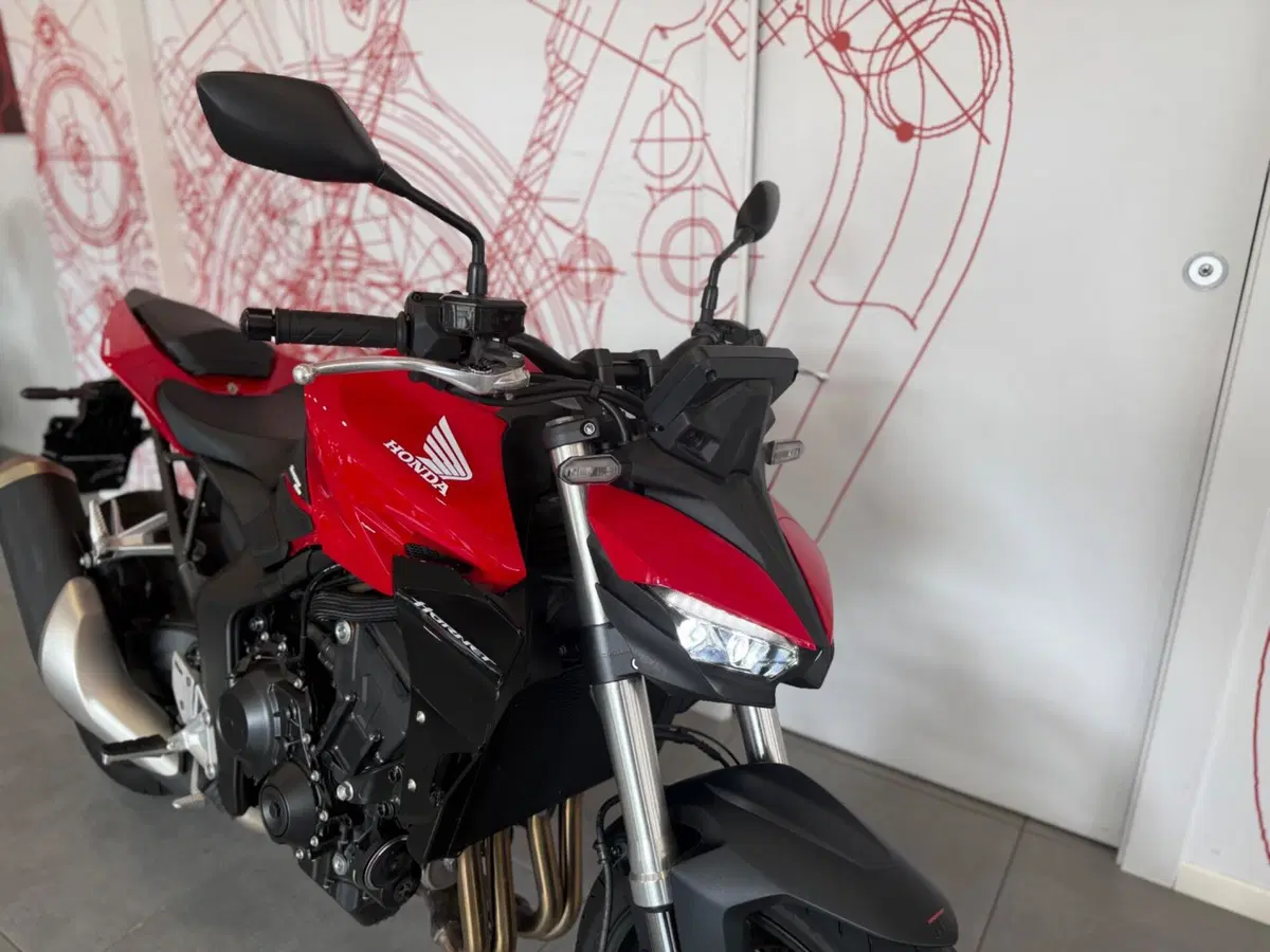 Honda CB 1000 Hornet (2025 - 26) (10)