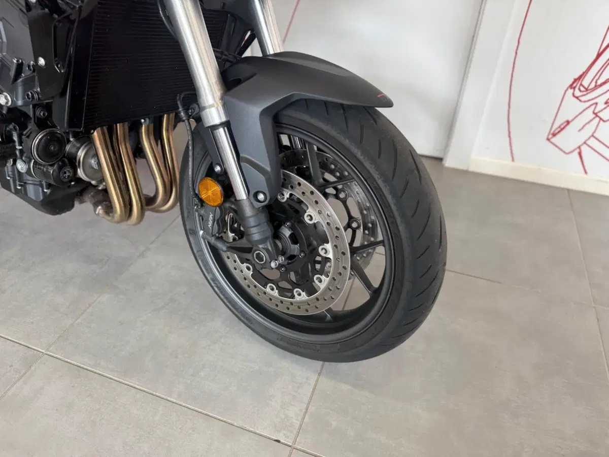 Honda CB 1000 Hornet (2025 - 26) (9)