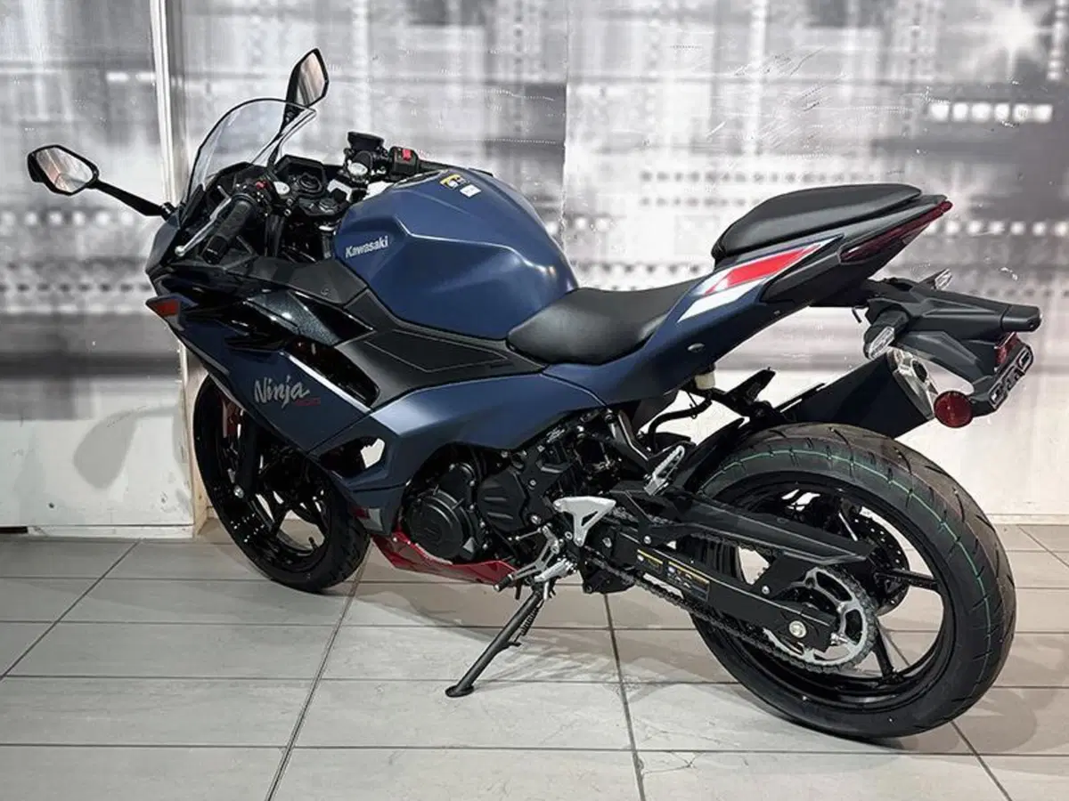 Kawasaki Ninja 500 SE (2024 - 26) (2)