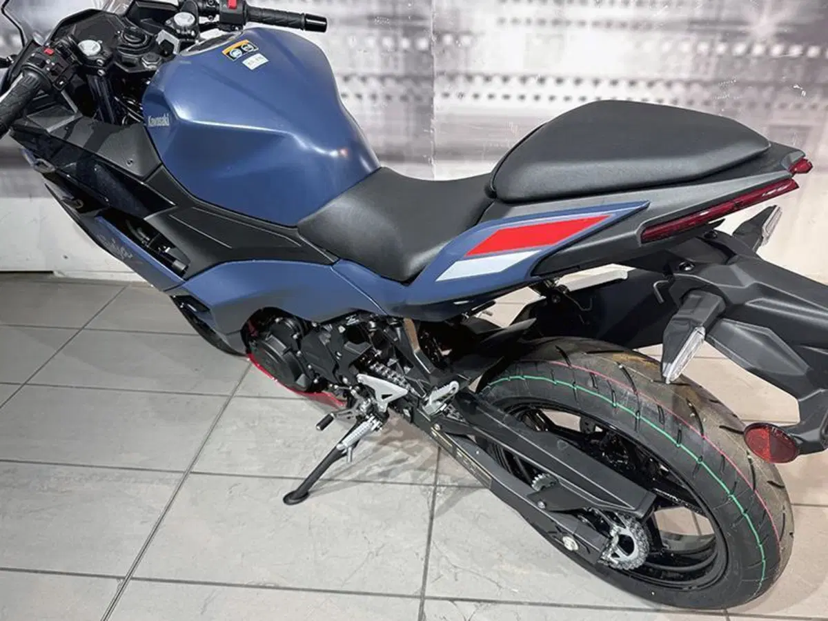 Kawasaki Ninja 500 SE (2024 - 26) (3)