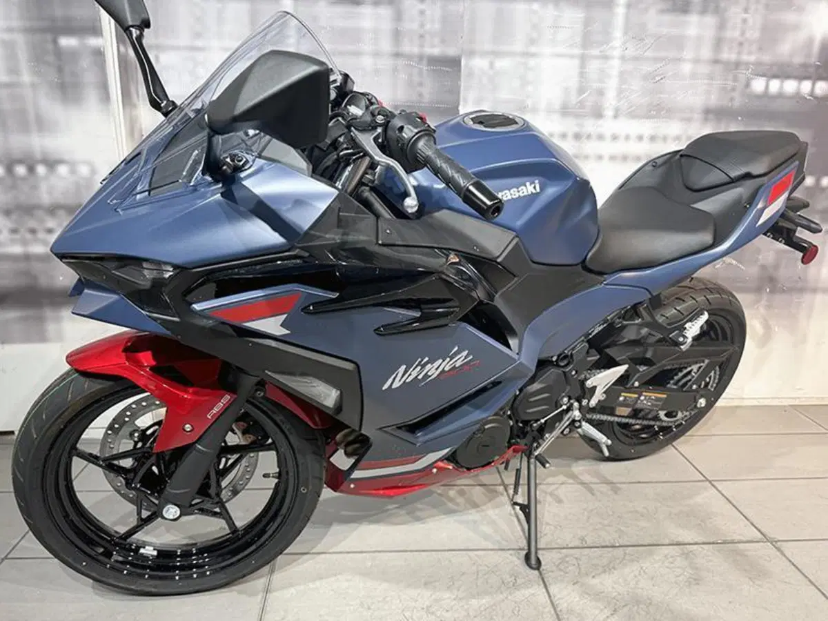Kawasaki Ninja 500 SE (2024 - 26) (4)