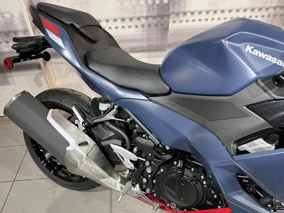 Kawasaki Ninja 500 SE (2024 - 26) (5)