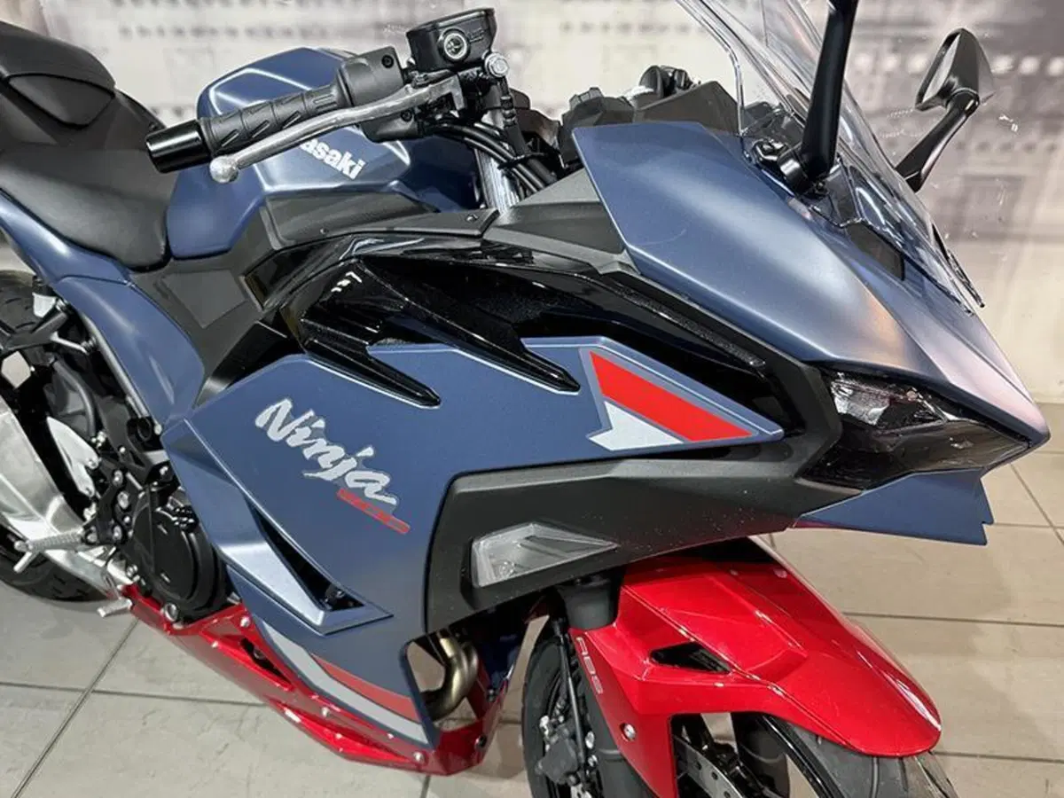 Kawasaki Ninja 500 SE (2024 - 26) (6)